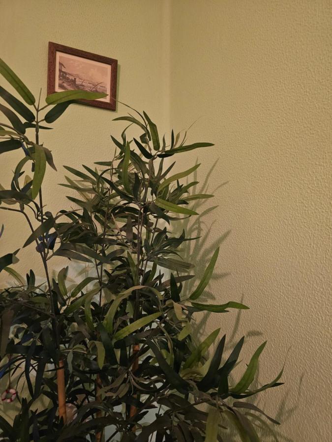 Habitacion Amplia Y Centrica En Piso Compartido ア・コルーニャ エクステリア 写真